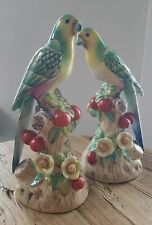 Andrea sadek parrots for sale  Johns Island