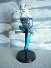 budgie budgerigar for sale for sale  WARWICK