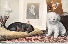 Adorável Dachshund e Poodle Miniatura por Pictures-Old Postcard-Series 816. 1 comprar usado  Enviando para Brazil