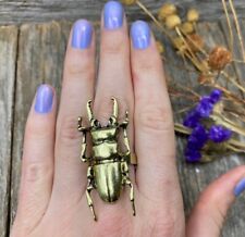 Stag beetle entomology for sale  Bartlett