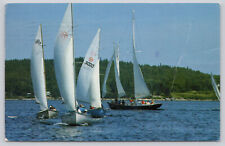 Postcard sailing race for sale  Deridder