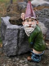 Funny garden gnome for sale  Land O Lakes