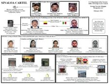 Cuadro Celebrit Cartel de Sinaloa México Crimen Organizado Guzmán El Chapo 8x10 segunda mano  Embacar hacia Argentina