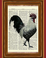 Rooster dictionary art for sale  Hernando