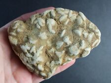 barite rose for sale  Shelby