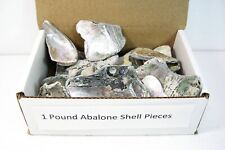 Abalone pieces pound for sale  Clayton
