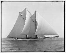 Merlin schooners yachts for sale  USA