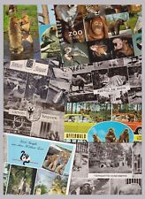 Ansichtskarten motiv zoo gebraucht kaufen  Berlin