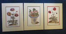 Botanical prints. set for sale  LUTTERWORTH