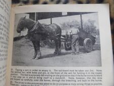 1946 farm horses for sale  ABERYSTWYTH