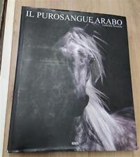 Cavallo purosangue arabo usato  Italia