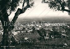 1964 sparanise panorama usato  Cremona