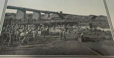 1902 Print ENGINEERS BUILDING NEW BRIDGE ACROSS MODDER RIVER Anglo-Boer War for sale  Shipping to South Africa