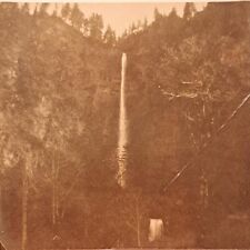 Antique c1905 photo for sale  Ireland