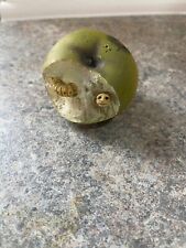 Clarecraft discworld caterpill for sale  THORNTON-CLEVELEYS