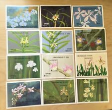 Butão 1990 - Scott #882-93 - Orquídeas - Conjunto de 12 folhas de selos de lembrança - MNH comprar usado  Enviando para Brazil