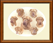 Dogue bordeaux giclee d'occasion  Expédié en Belgium