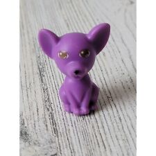 Purple mini chihuahua for sale  Racine