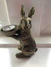 Cute bunny rabbit for sale  LEEDS