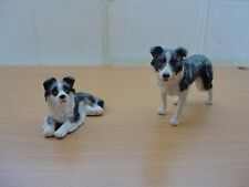 border collies for sale  LONDON