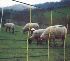 Electric fence 50m for sale  NEWTON ABBOT