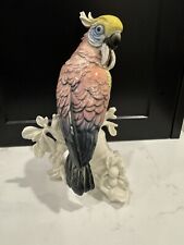 Johann karl cockatoo for sale  Philadelphia