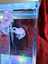 Dancing jellyfish tank for sale  Iselin