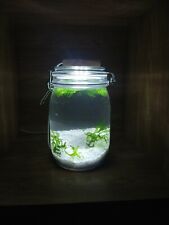 Self sustaining ecosystem for sale  STOKE-ON-TRENT