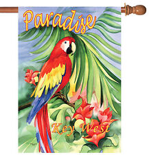 Toland macaw paradise for sale  Poulsbo