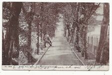 1904 postcard hornbeam for sale  LONDON