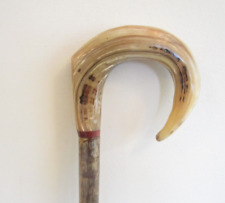 Rams horn crook for sale  ILKLEY