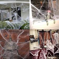 90g halloween spider for sale  PORTSMOUTH