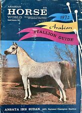 Arabian horse stallion for sale  Quinn