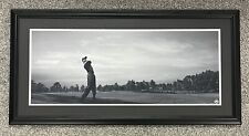 Tiger woods 12x30 for sale  Nashua
