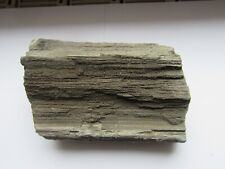 Mineralien versteinertes holz gebraucht kaufen  Biebertal