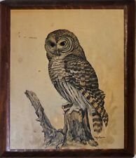 Vintage owl print for sale  Baltimore