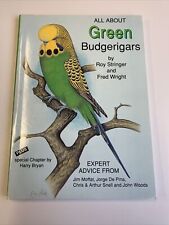 Green budgerigars for sale  READING