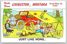 Livingston montana comic for sale  Newton