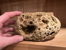 Sponge coral rock for sale  LINCOLN