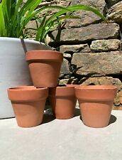 Old terracotta plant for sale  SHEFFIELD