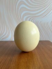Ostrich egg d'occasion  Expédié en Belgium