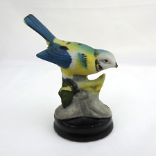 Blue tit bird for sale  ULVERSTON