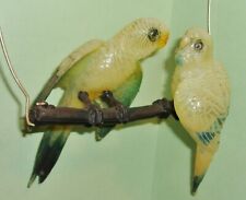 parakeet pair for sale  Dyer
