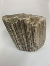 Petrified wood fossil for sale  LOCHGELLY