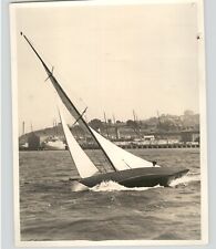 Beautiful racing sail for sale  Brooklyn