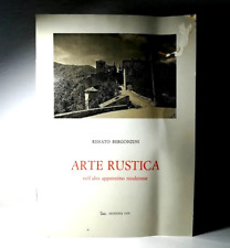 Arte rustica renato usato  Bologna