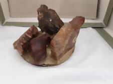 Petrified wood cluster for sale  Tucson