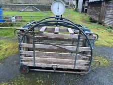 Sheep cradle weigher for sale  BRAMPTON