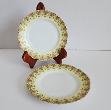 Charles ahrenfeldt limoges for sale  Charlotte