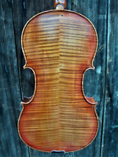 Nice viola lab gebraucht kaufen  Deutschland